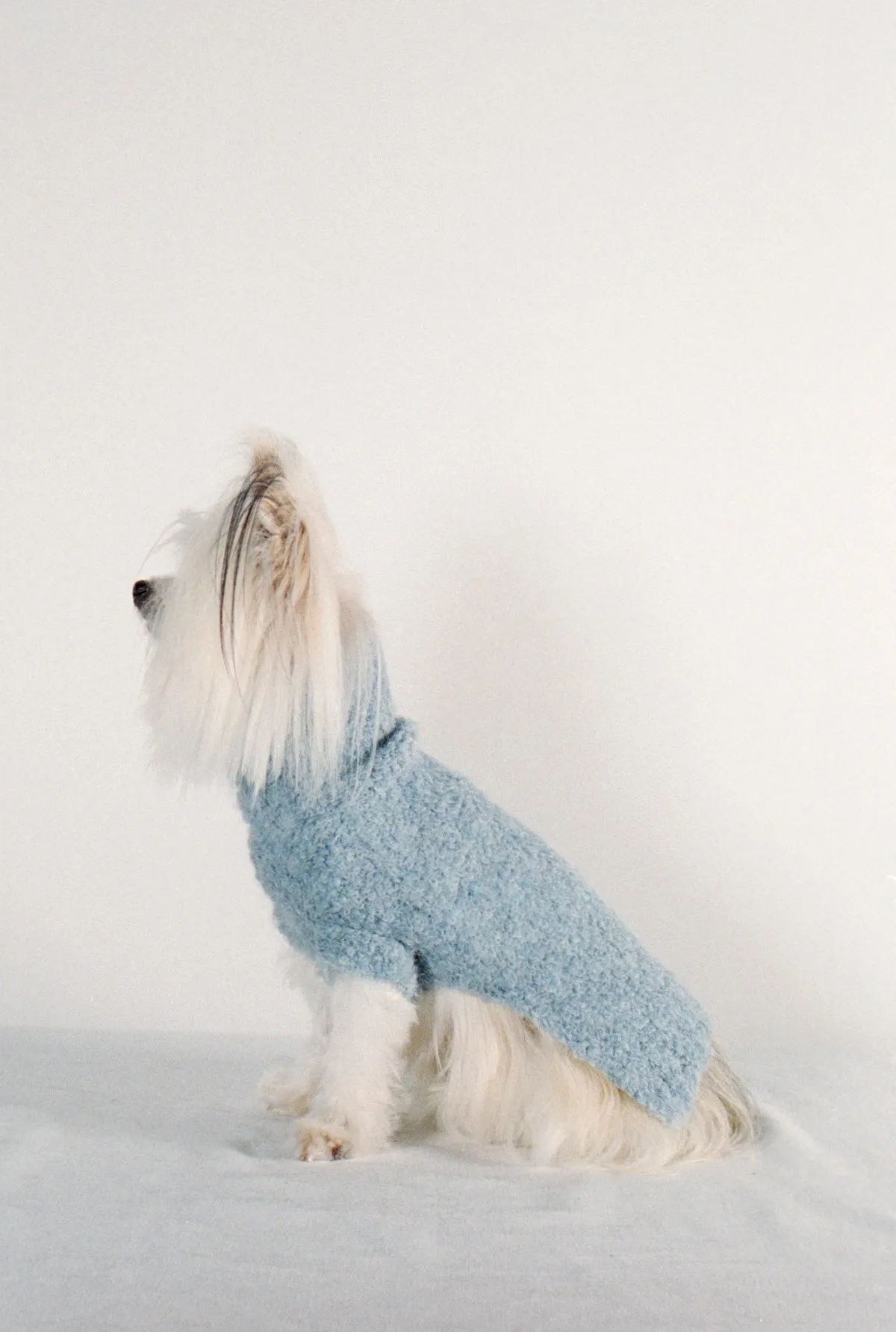 DOG SWEATER - cloud