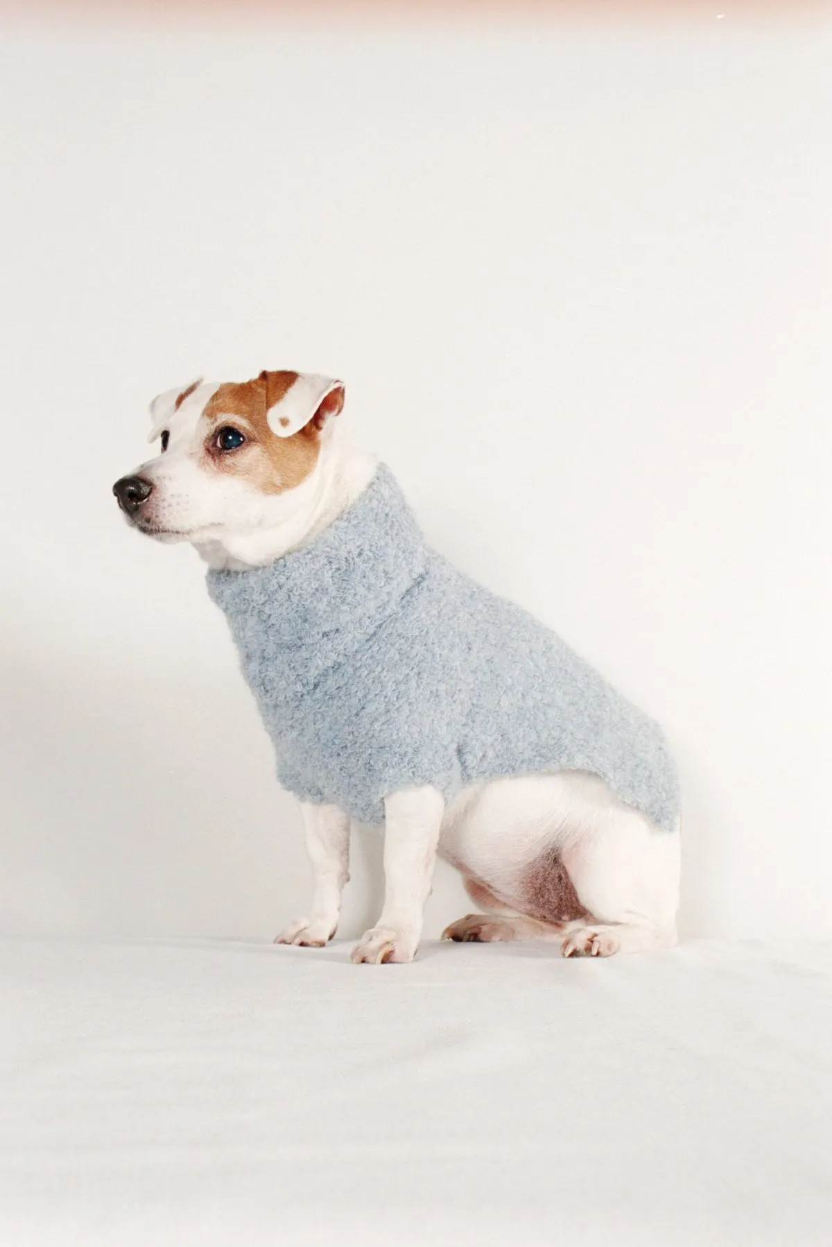 DOG SWEATER - cloud