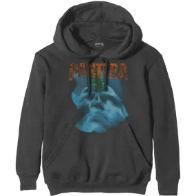 Hoodie - Pantera - Far Beyond Driven World Tour - Grey - Pullover