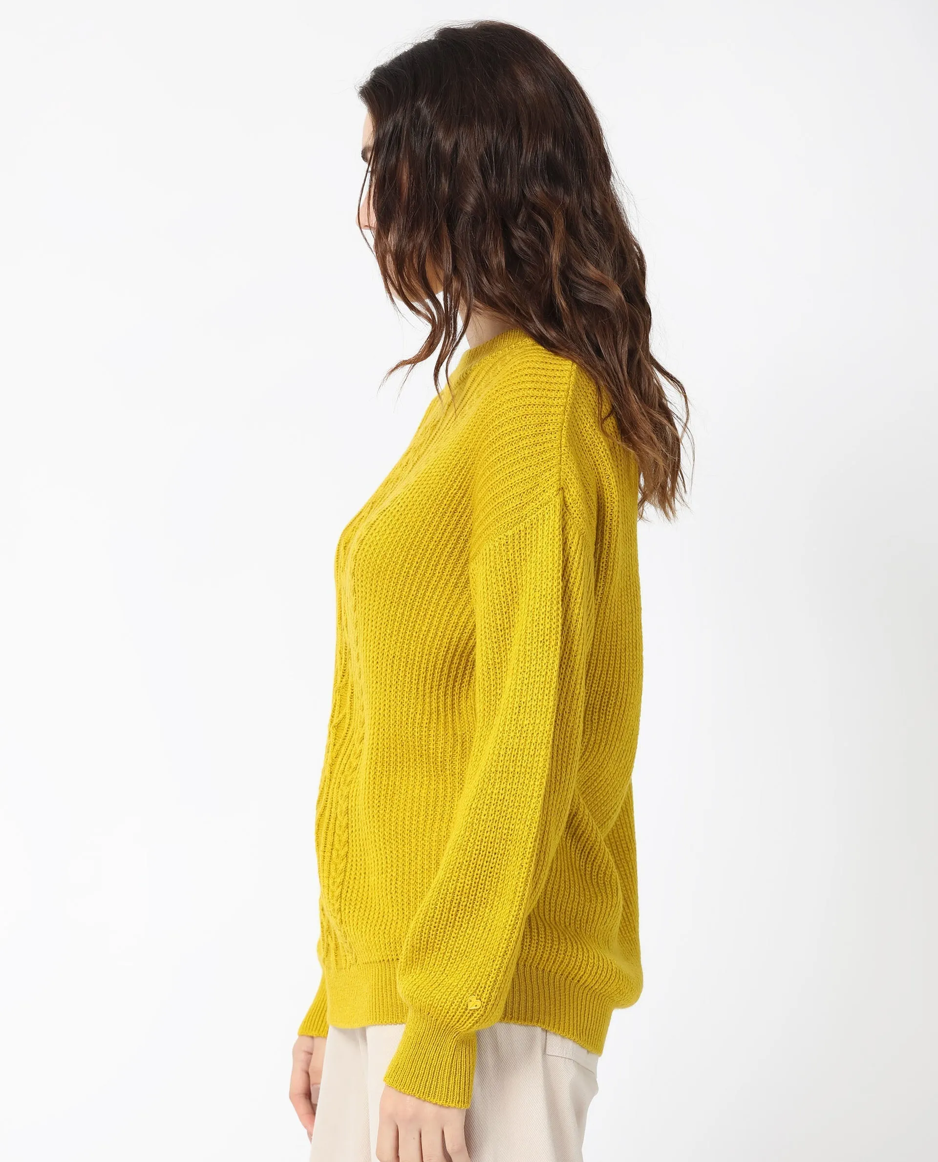 Rareism Women Schitt Mustard Acrylic Fabric Full Sleeves High Neck Relaxed Fit Plain Sweater